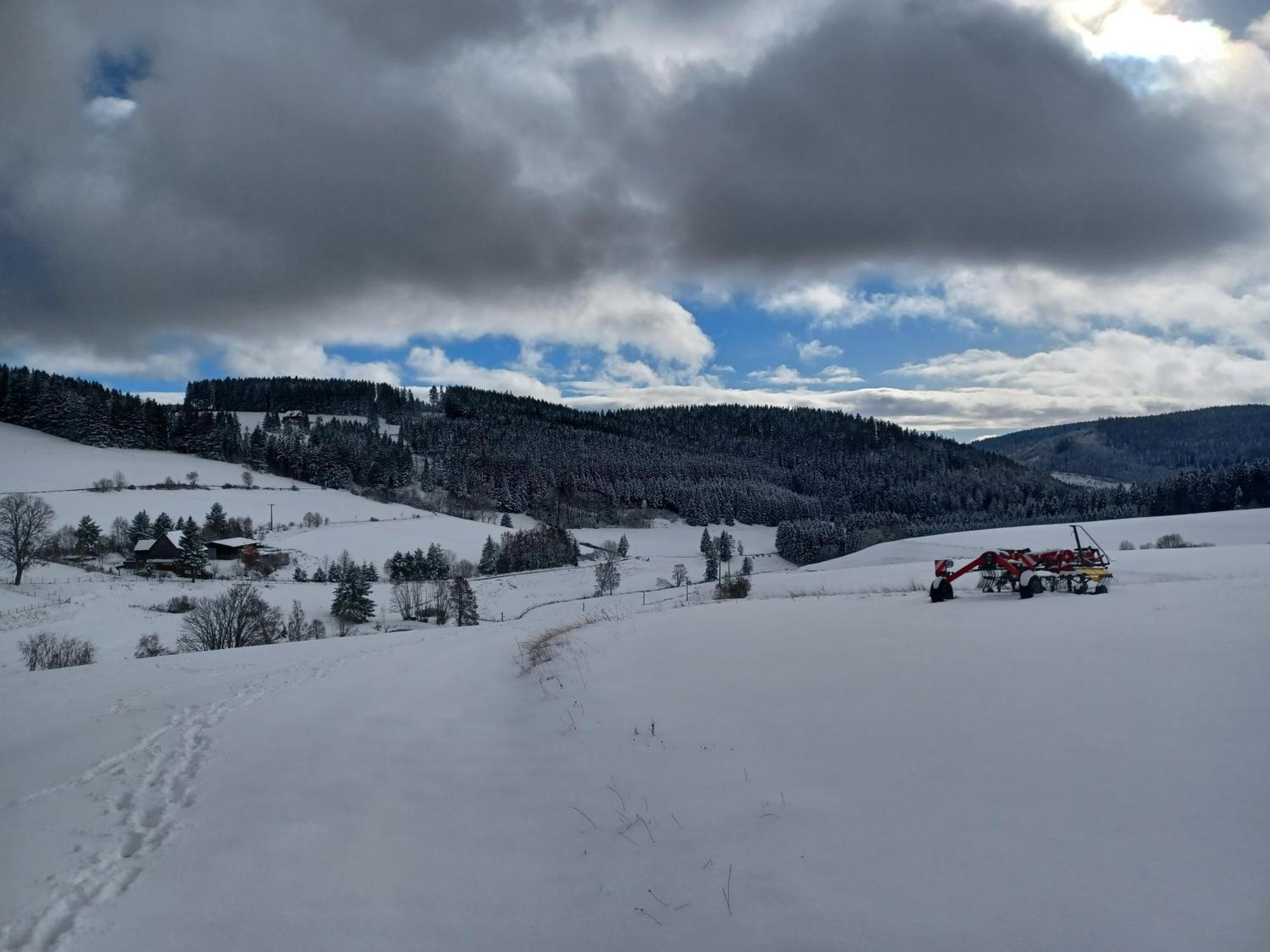 Blockhaustraum Villa Titisee-Neustadt Luaran gambar